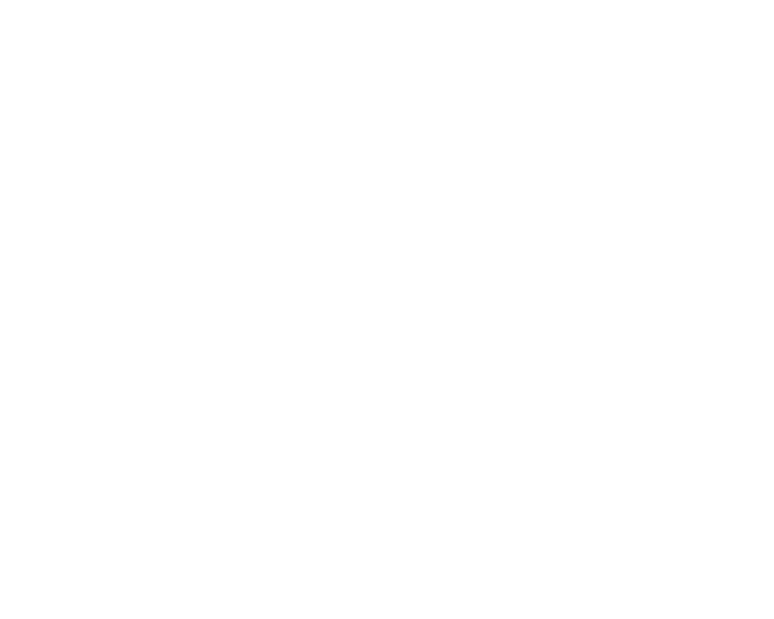 Ann Maleri